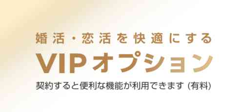 VIPオプション：身バレ防止もできる